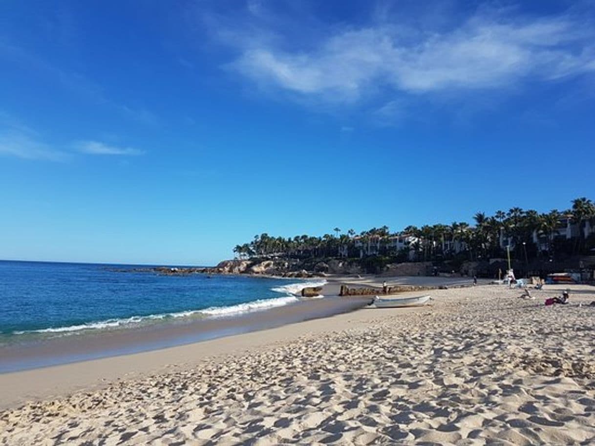 Lugar Playa Palmilla