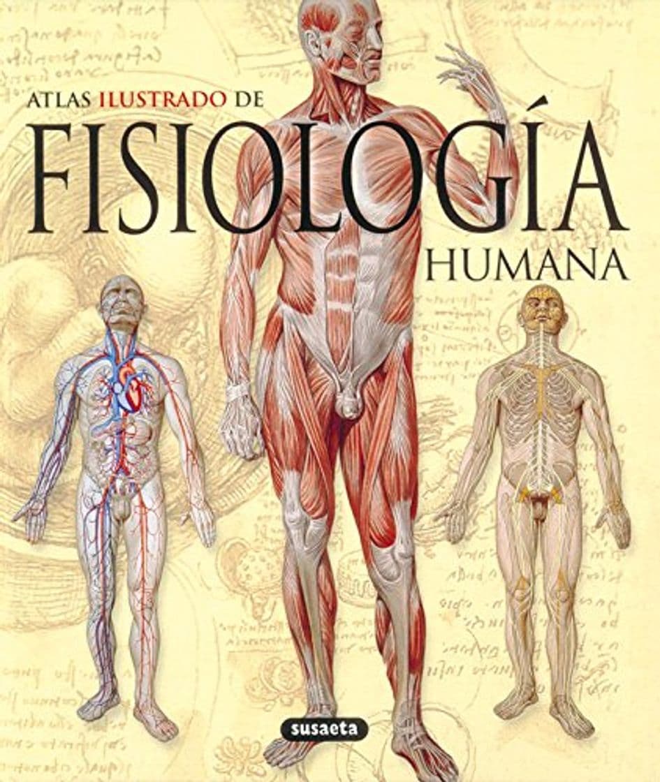 Book Fisiologia Humana