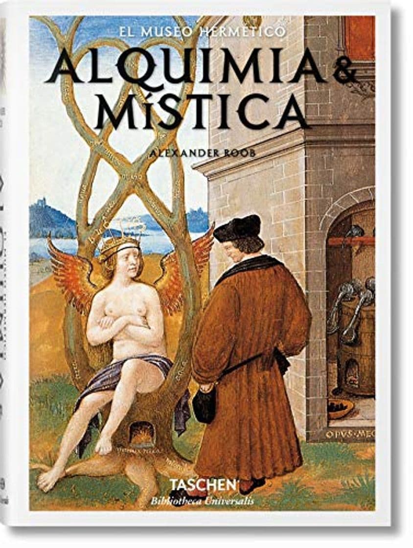 Book Alquimia Y Mística