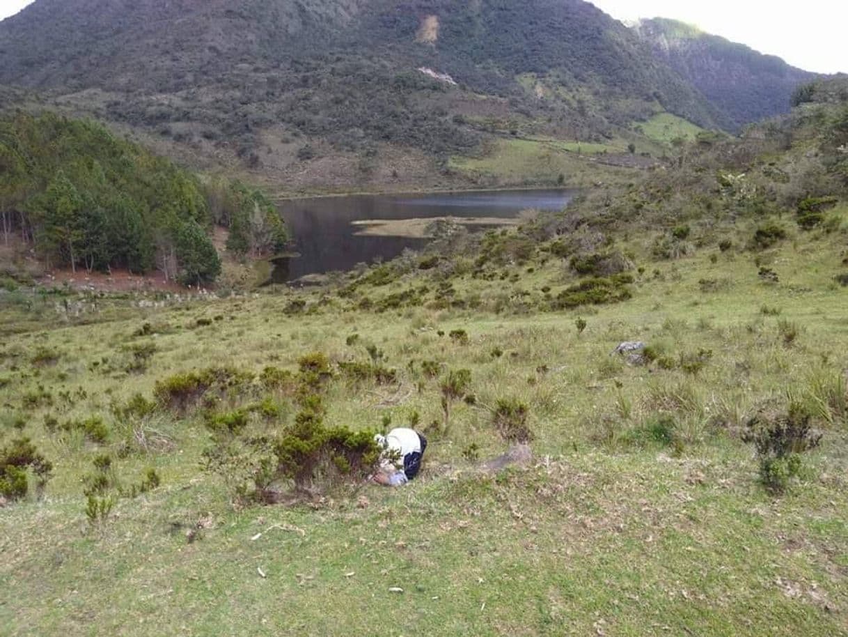 Lugar Vía a la Laguna de Cácota