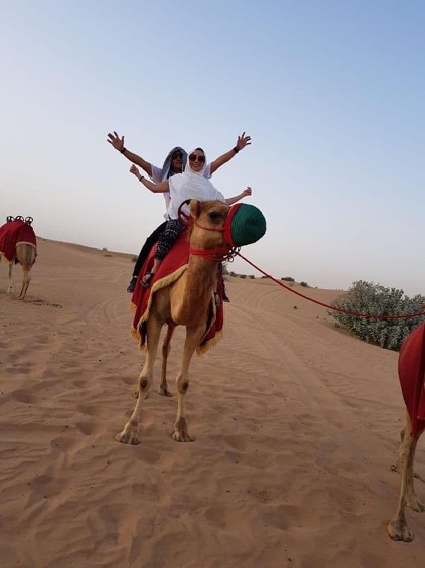 Place Desert Dubai Tour