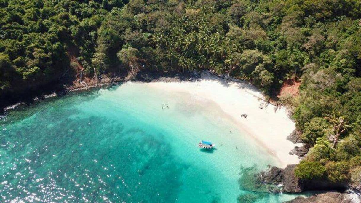 Fashion Boca Chica: Cómo VISITAR el PARAÍSO mejor guardado - Panaporte