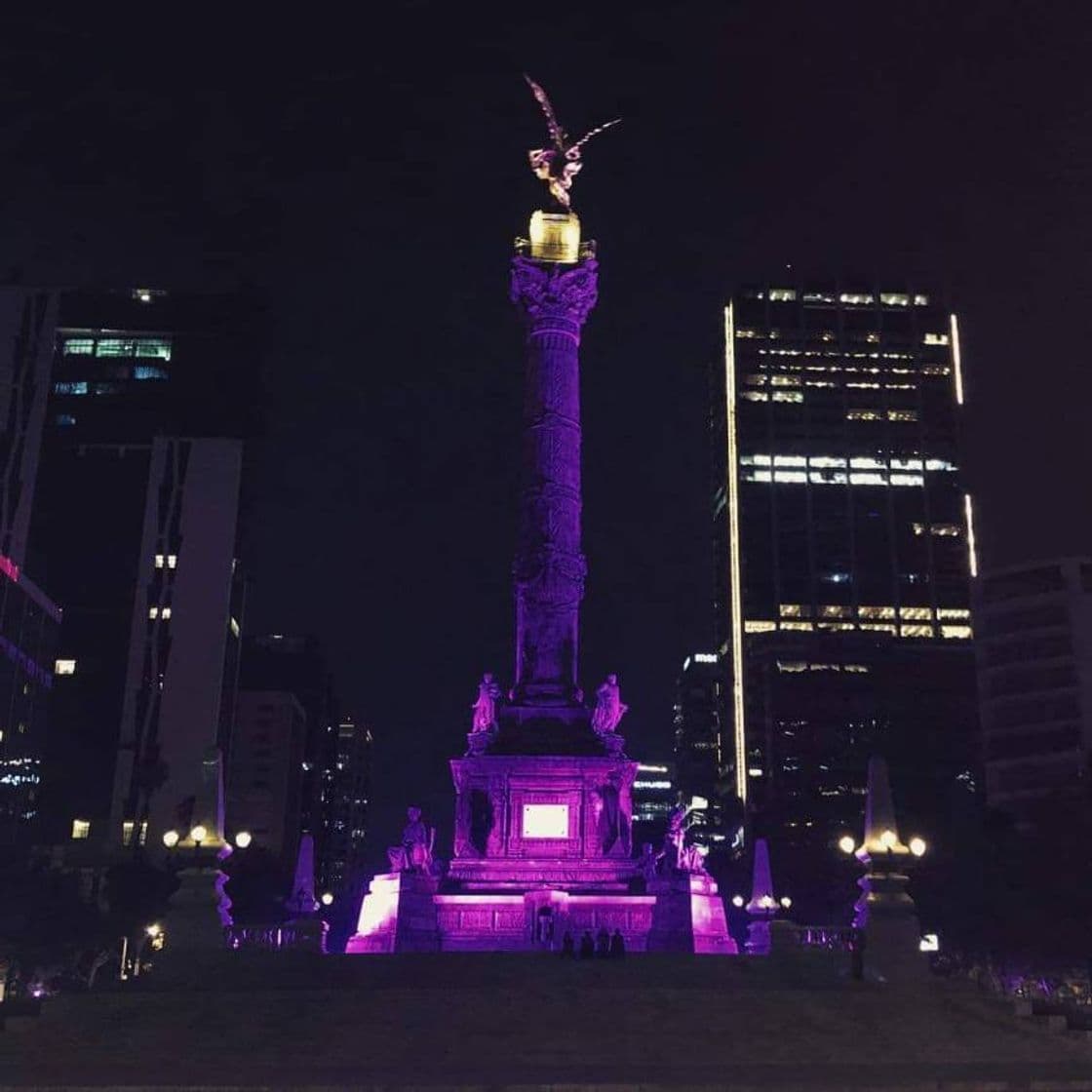 Moda Av. Paseo de la Reforma 