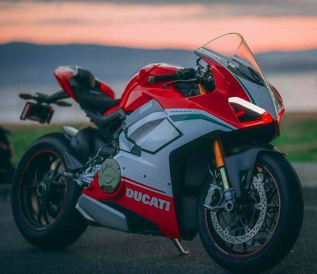 Fashion Ducati panigale