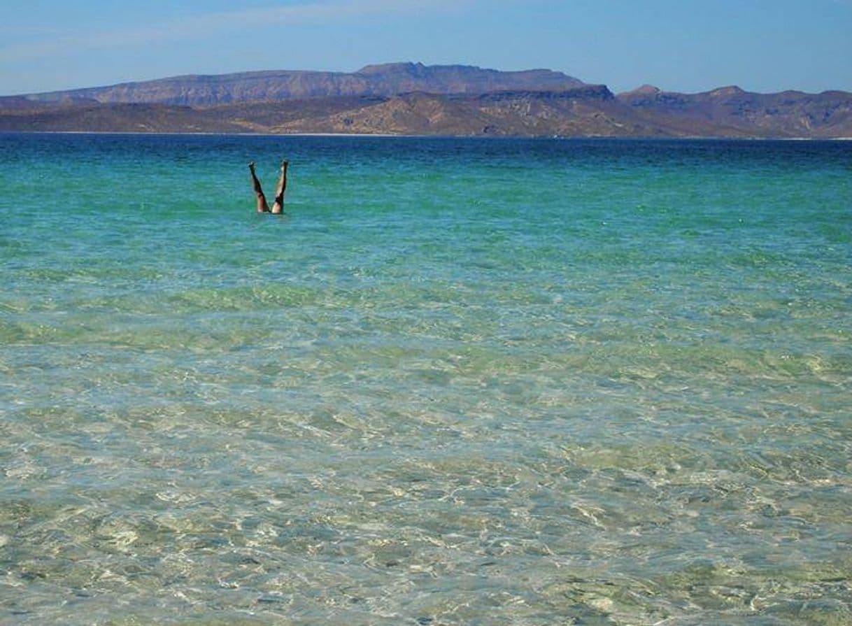 Lugar Playa el Tecolote