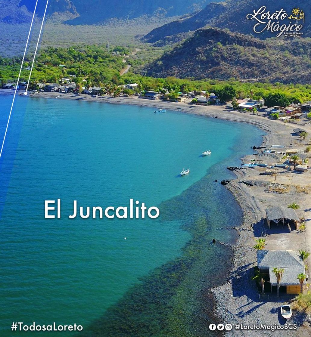 Lugar Juncalito