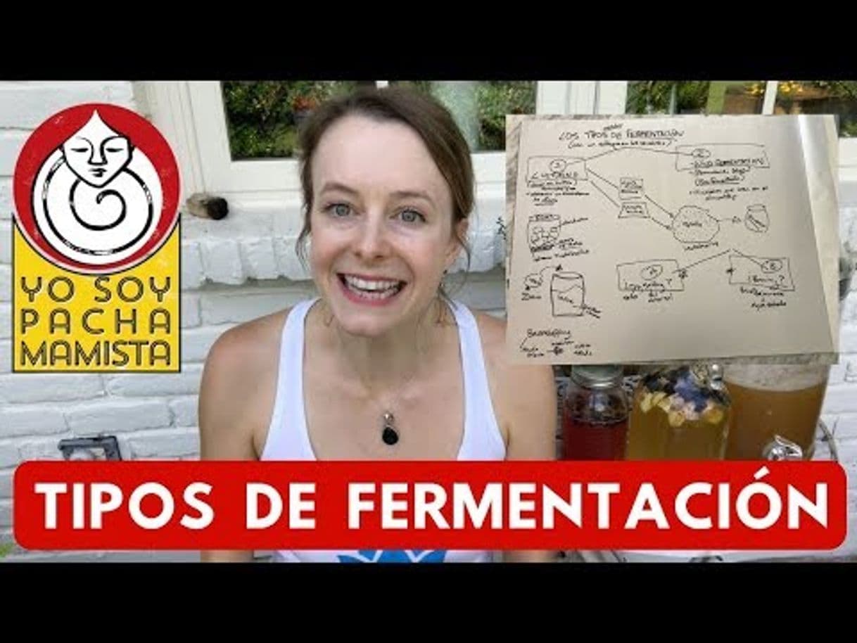 Moda Yo soy Fermentista