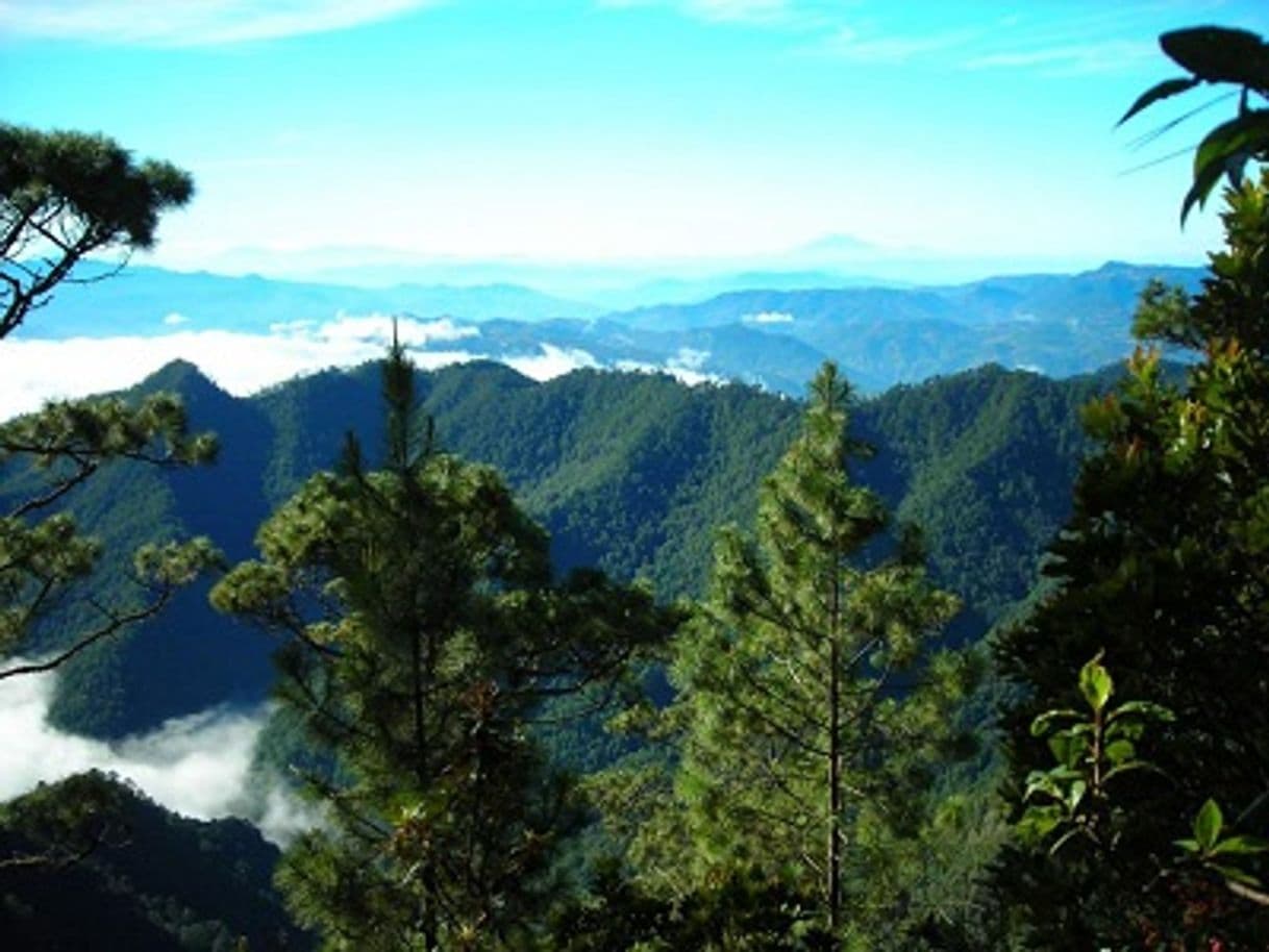 Lugar Celaque National Park