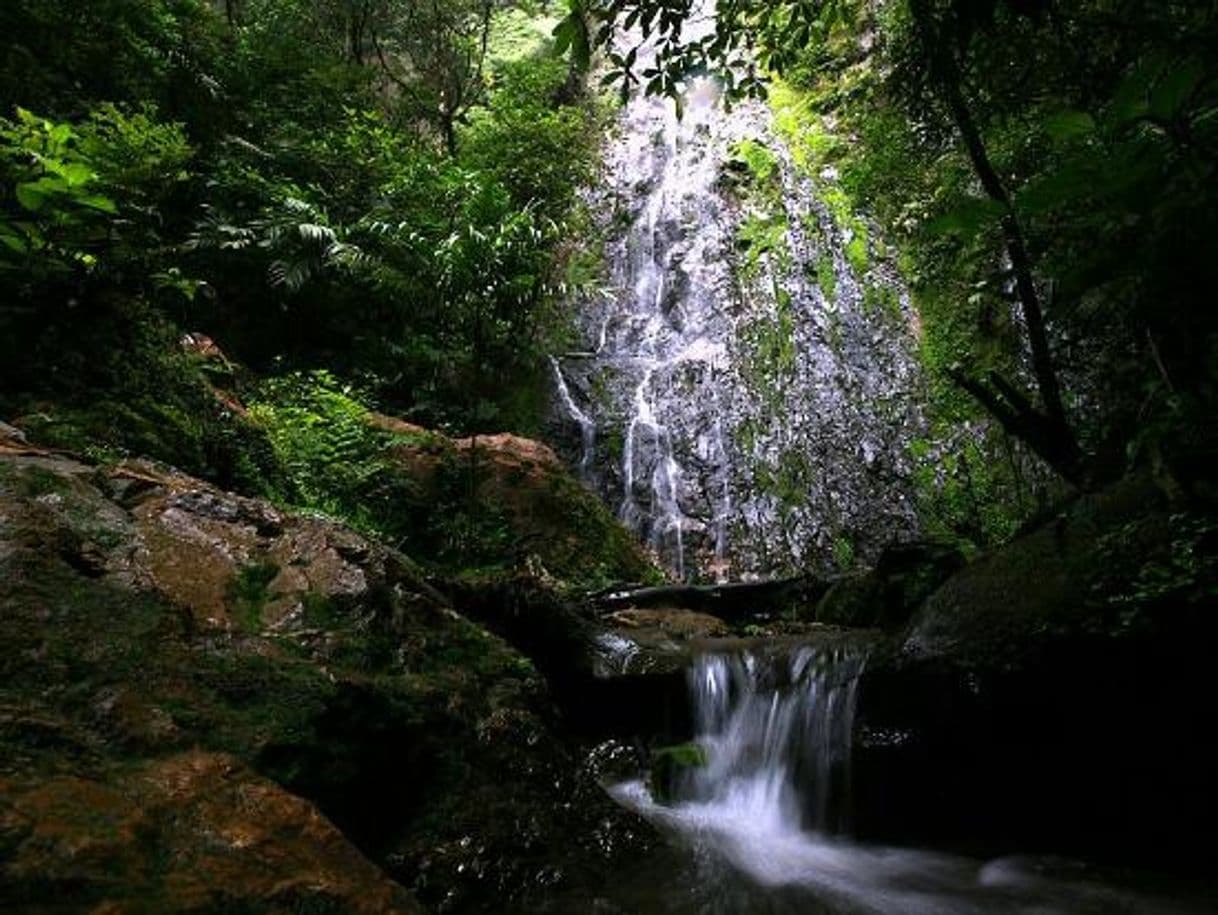 Lugar Parque Nacional La Tigra