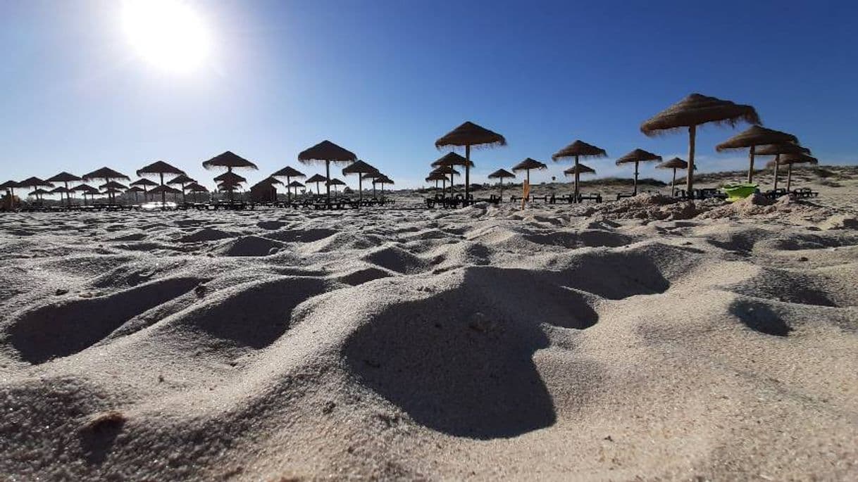 Lugar Praia da Lota