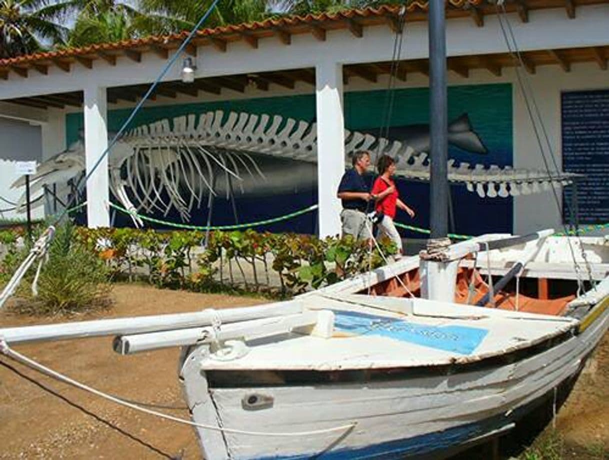 Lugar Museo Marino de Margarita