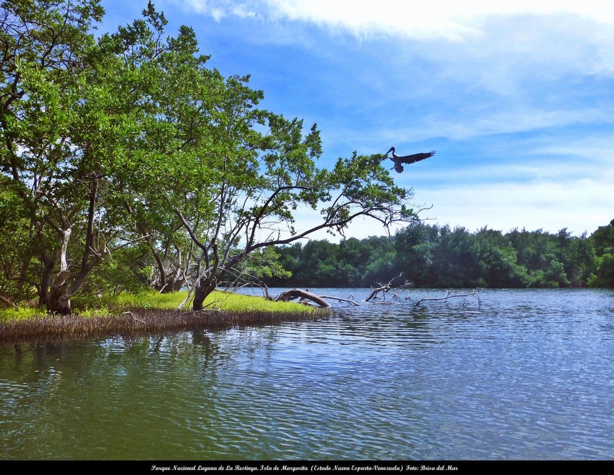 Lugar Parque nacional Laguna de La Restinga