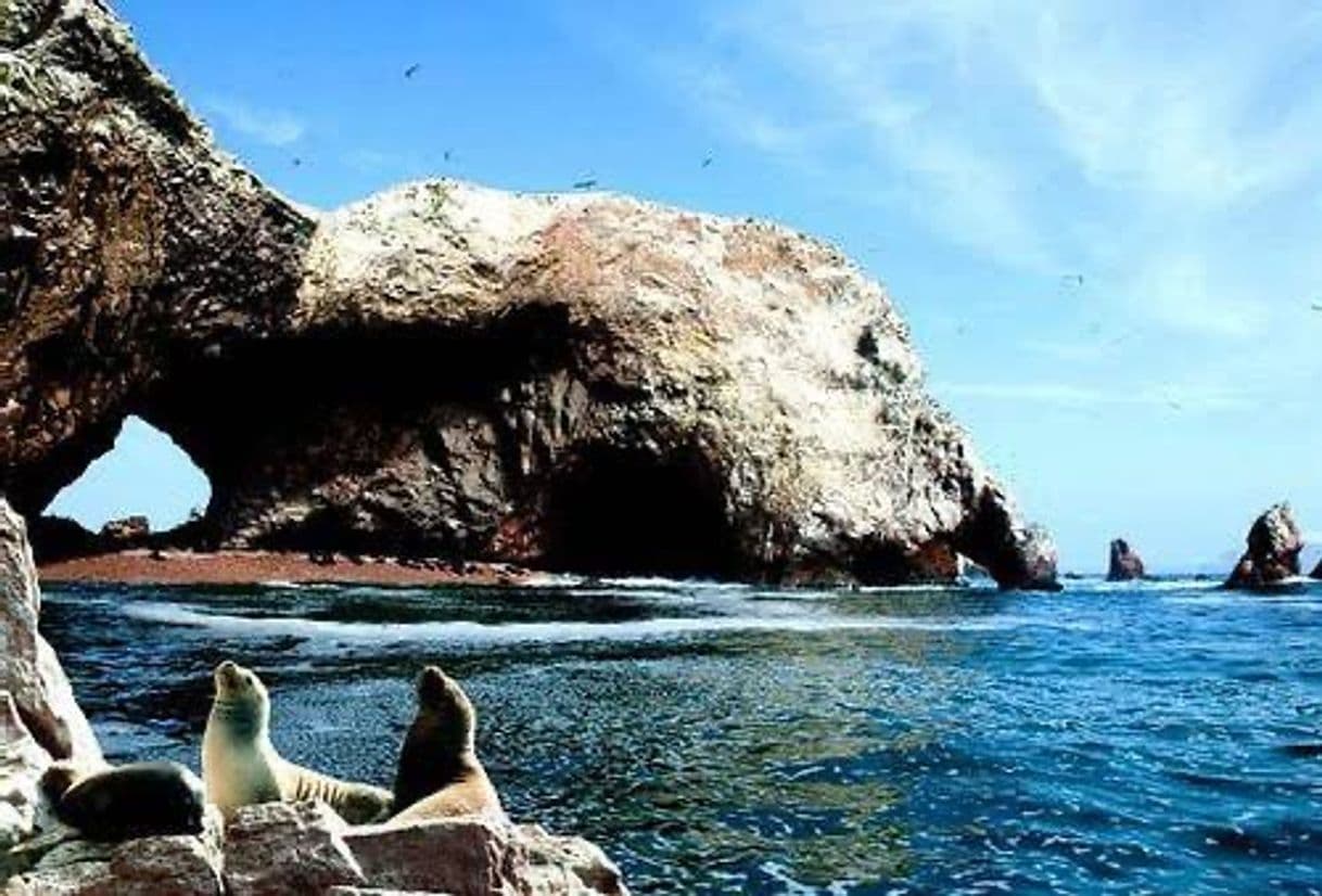 Lugar Islas Ballestas