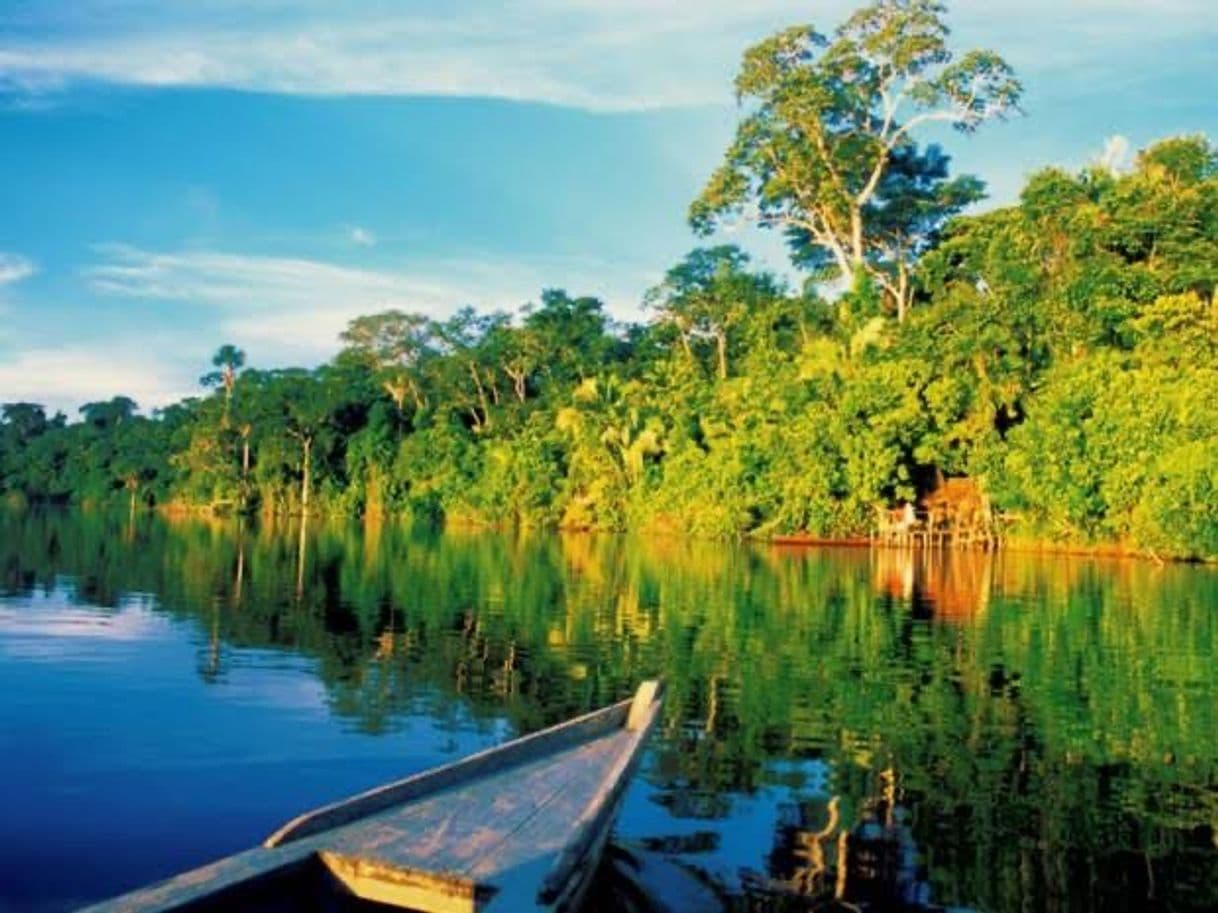 Lugar Parque Nacional del Manu