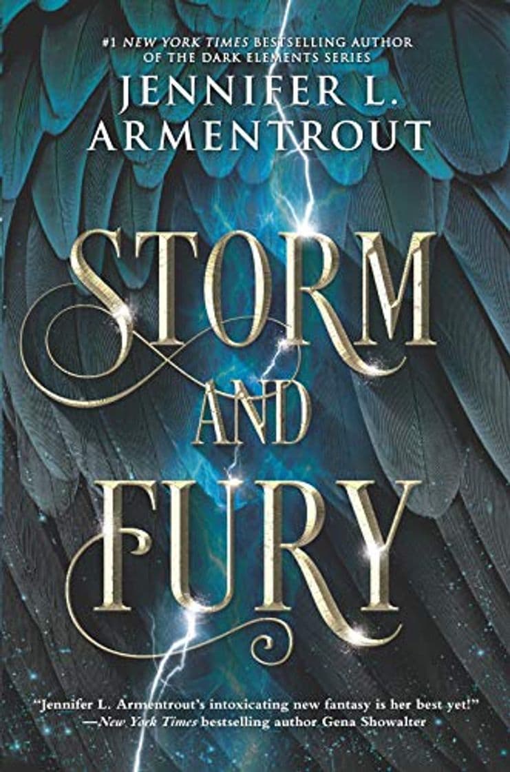 Book Storm and Fury