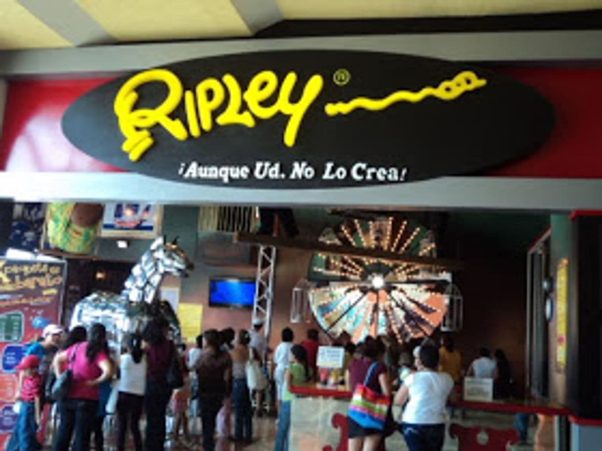 Lugar Museo de Ripley