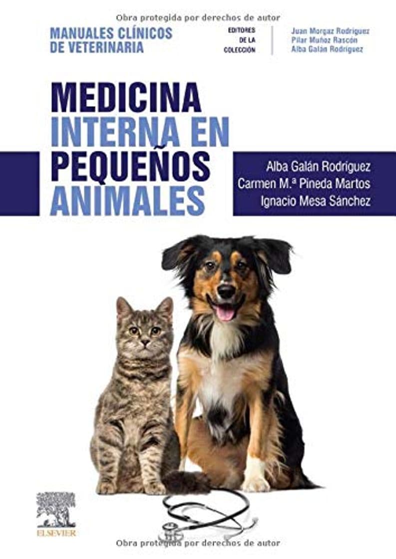 Book Medicina Interna En Pequeños Animales: Manuales clínicos de Veterinaria