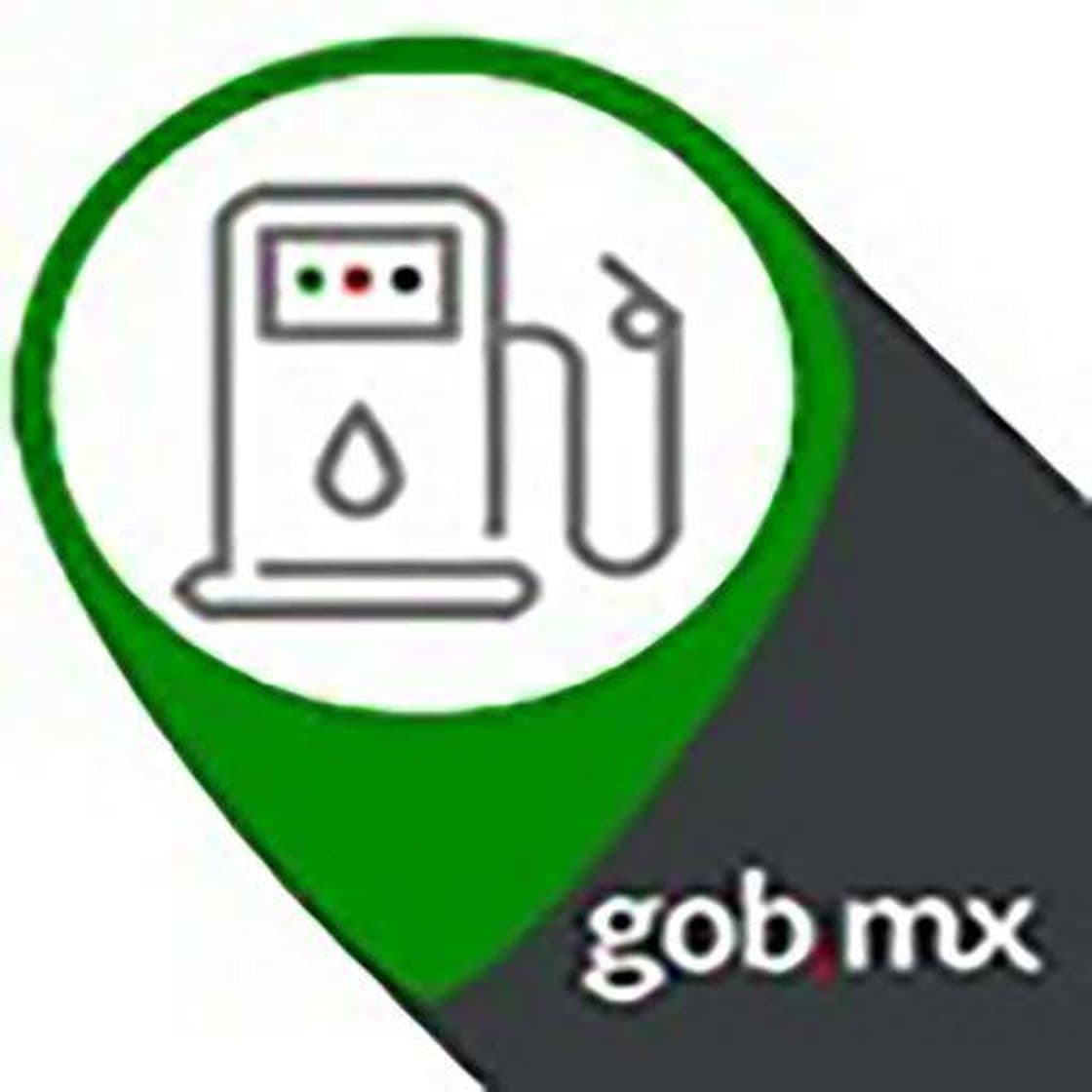 App Gasoapp / android