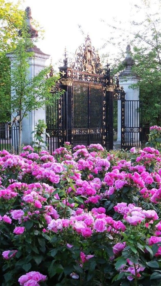 Place Queen Mary's Rose Gardens