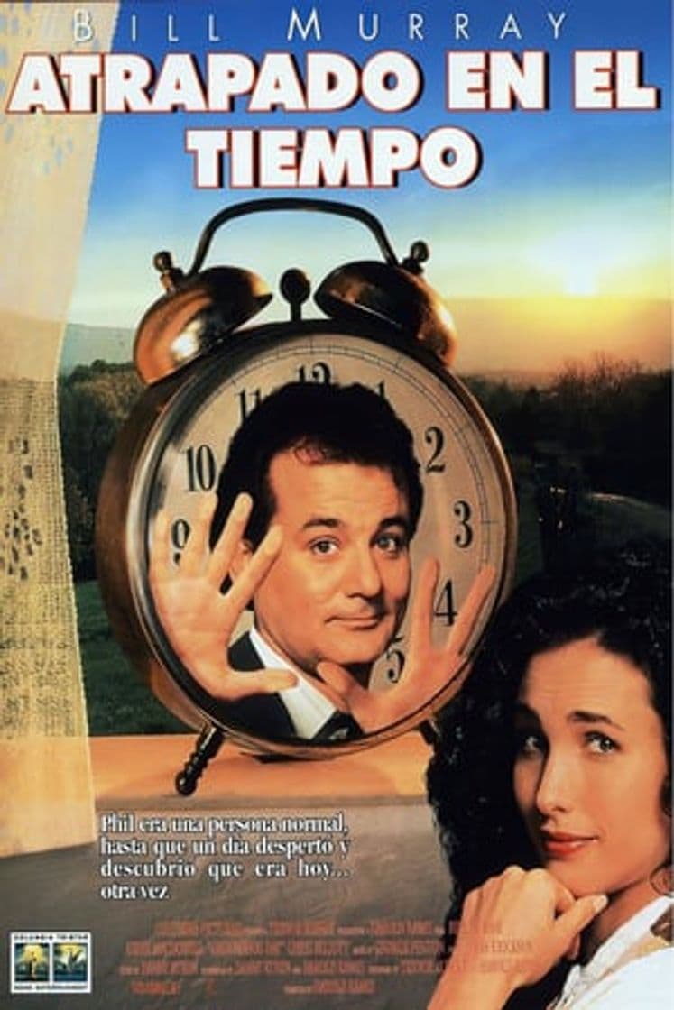 Película Groundhog Day