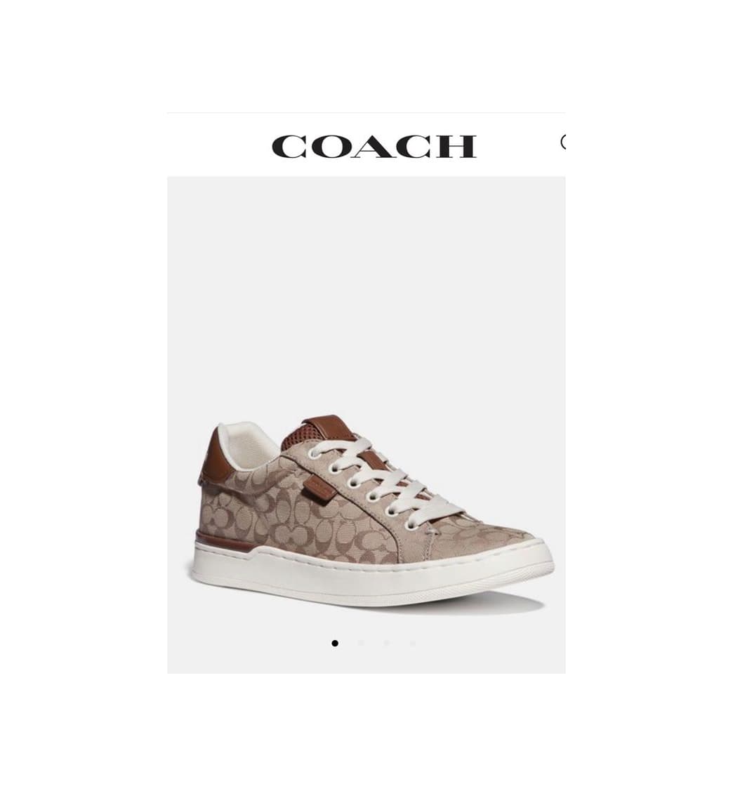 Fashion Lowline Signature Low Top