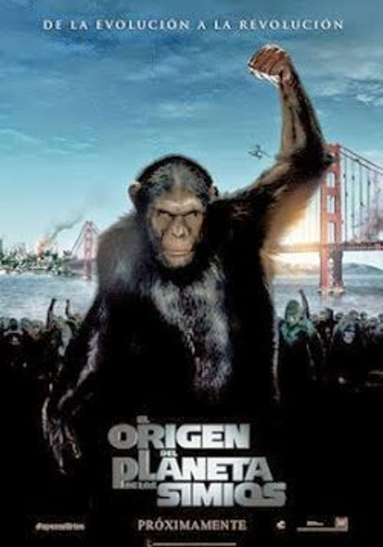 Película Rise of the Planet of the Apes