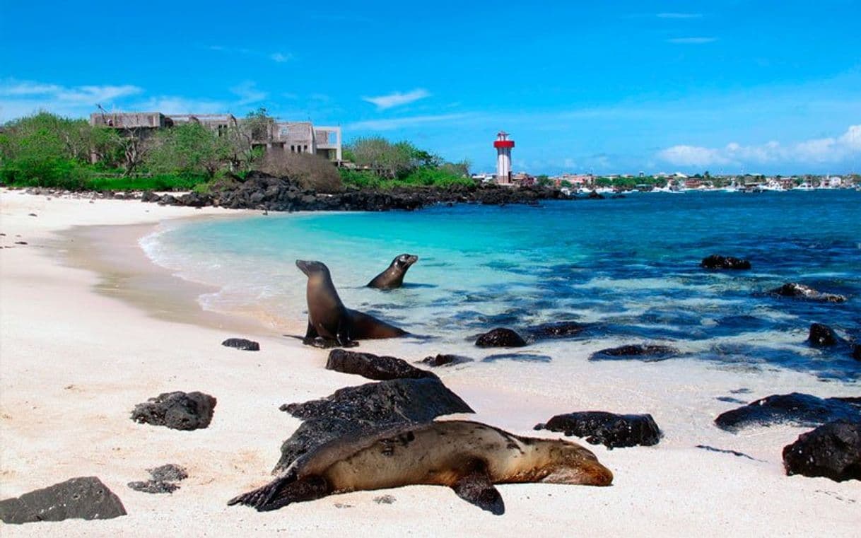 Lugar Galapagos Islands