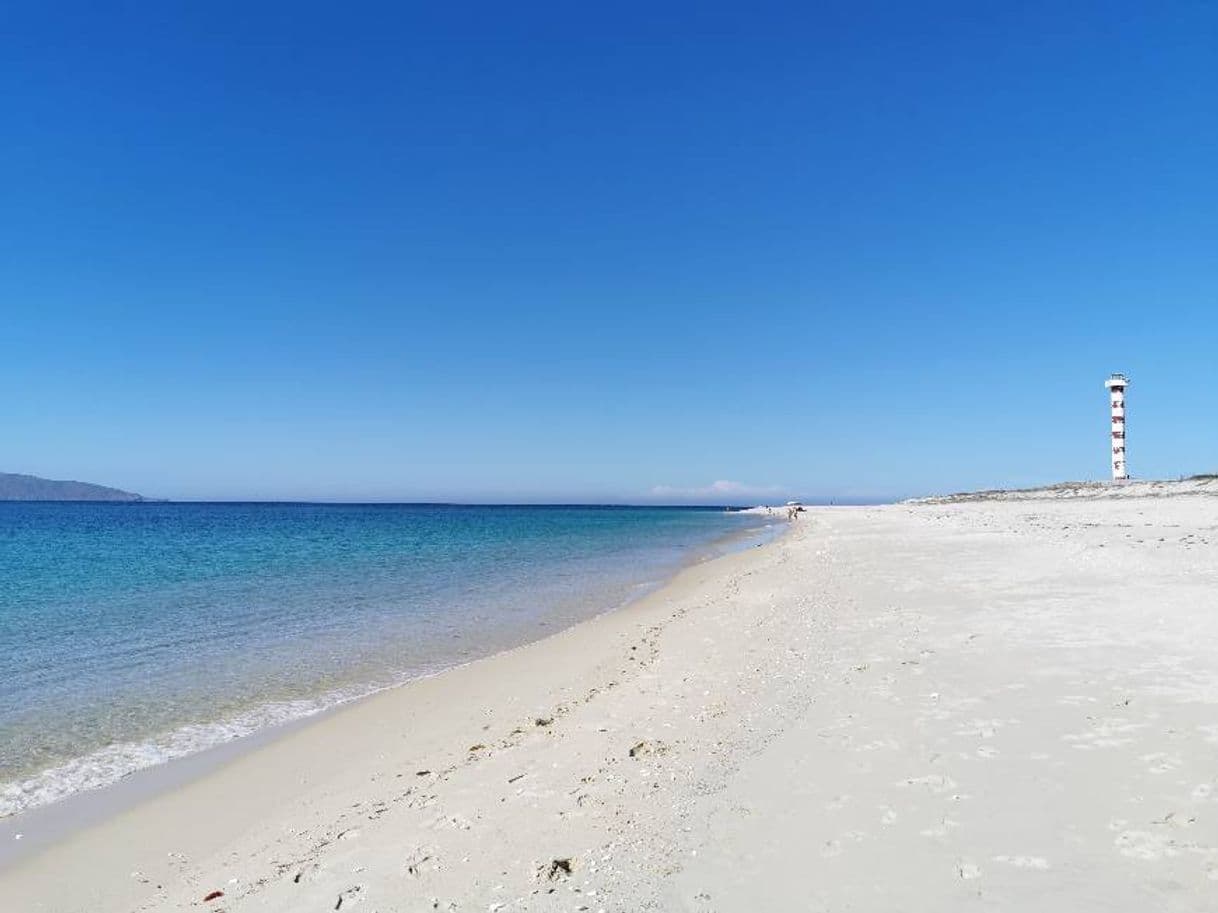 Lugar Playa Punta Arena