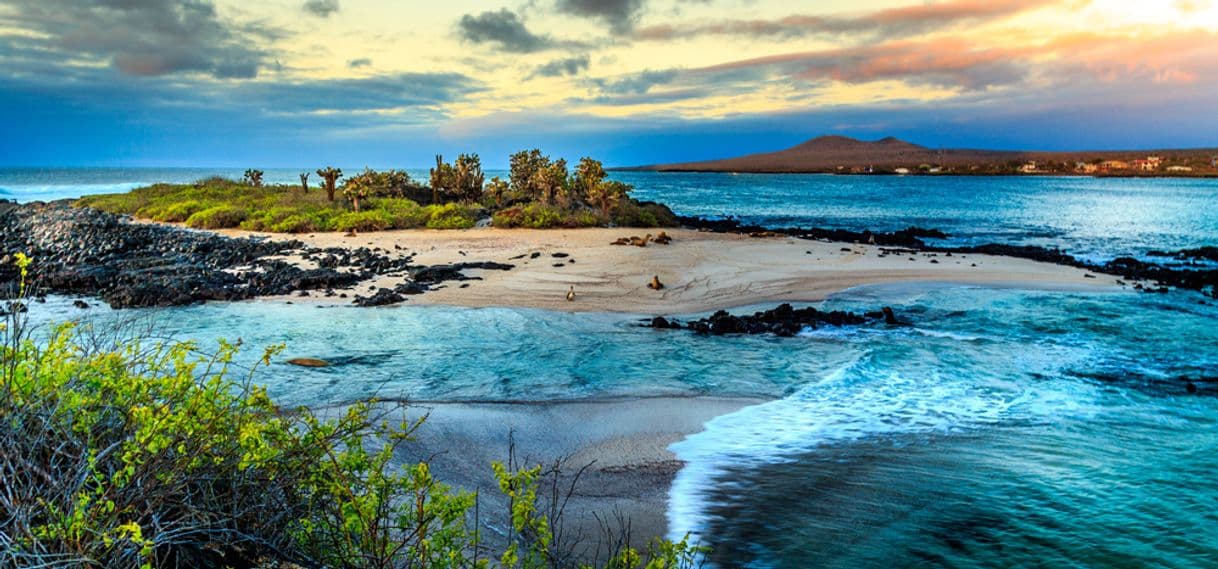 Lugar Galapagos