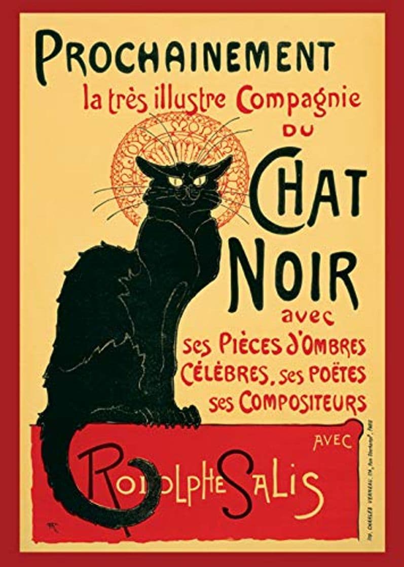 Producto Chat Noir