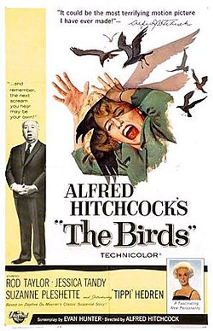 Película The Birds