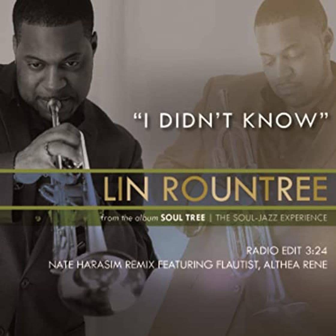 Fashion Lin Rountree's "I Didn't Know" [Nate Harasim Remix] (feat. Althea ...