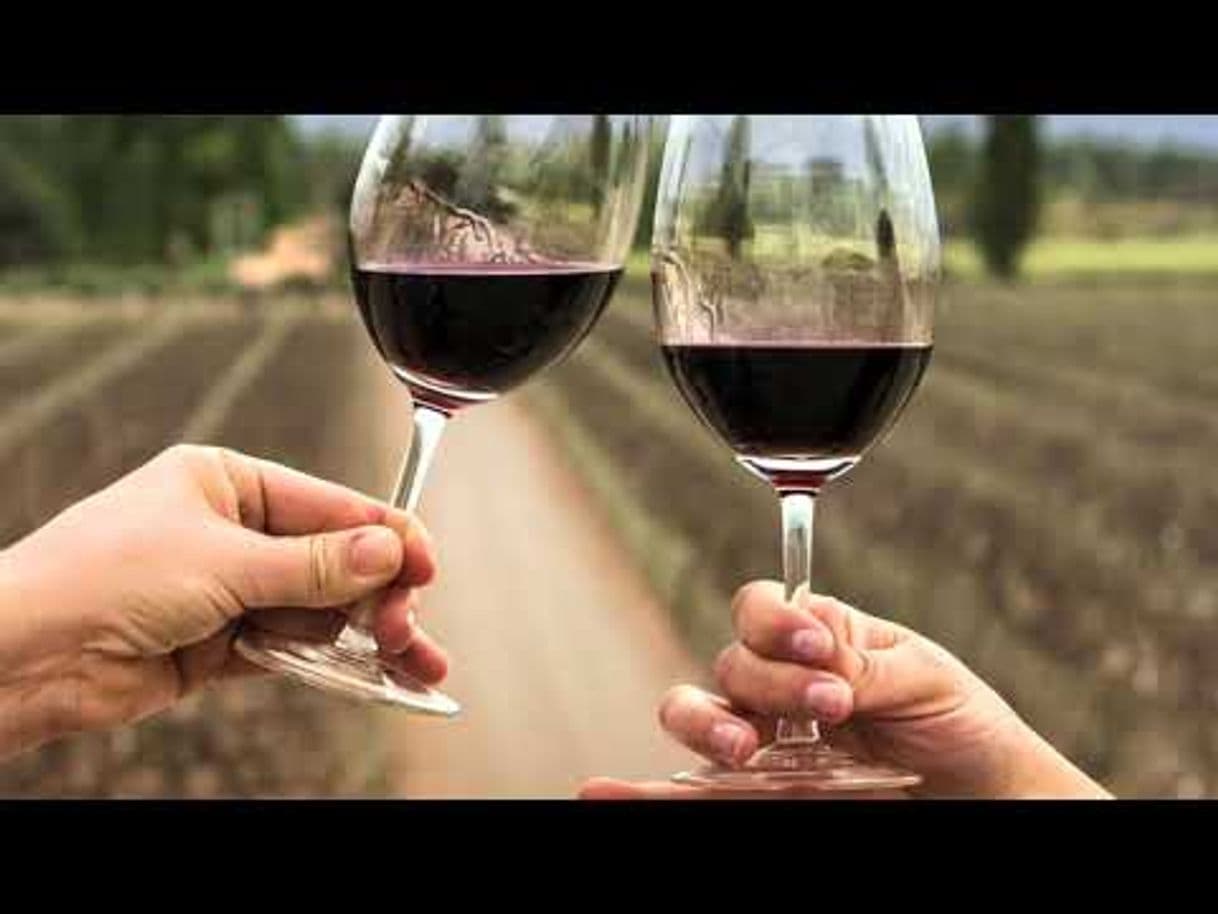 Fashion  Vino Para Principiantes - Merlot - YouTube