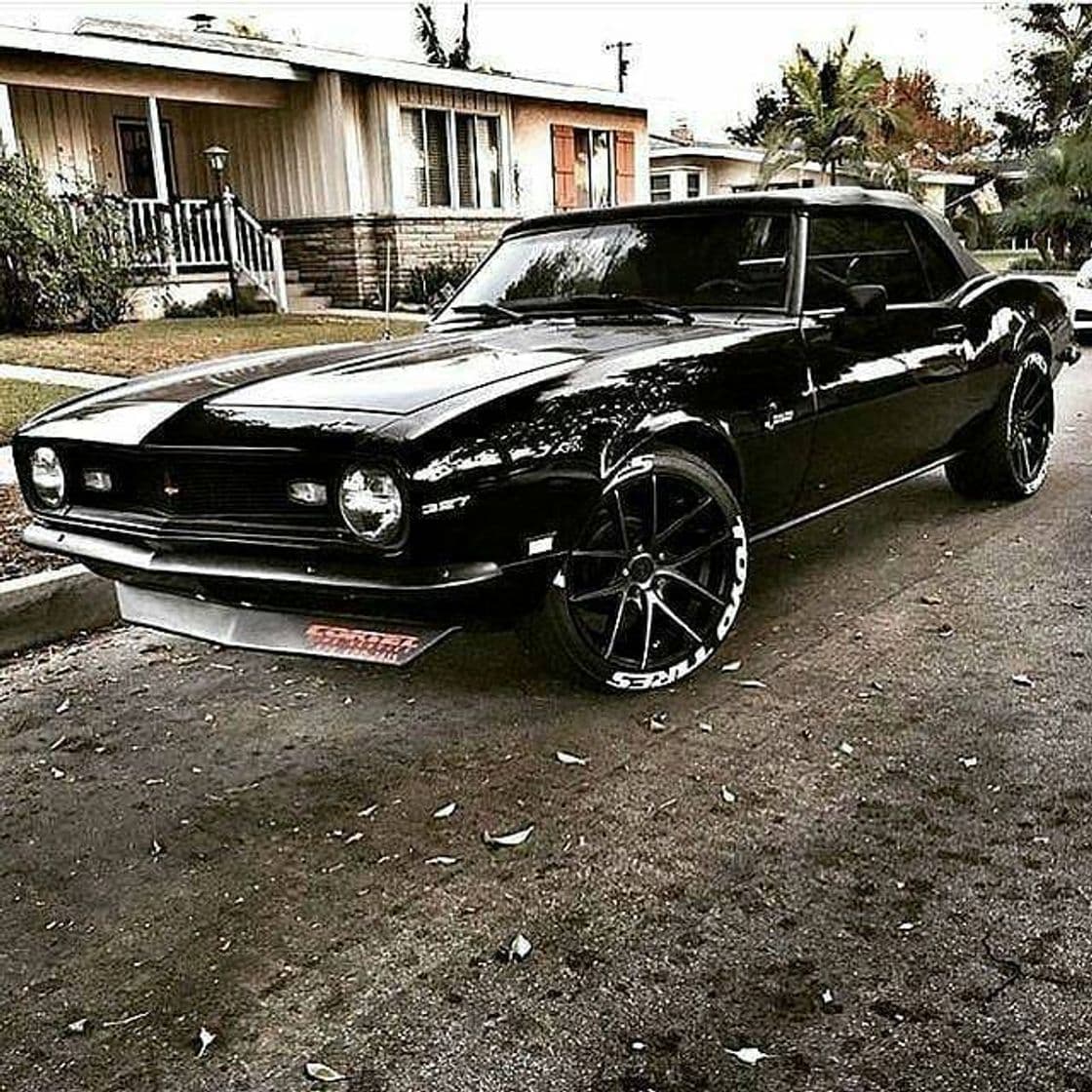 Fashion Camaro