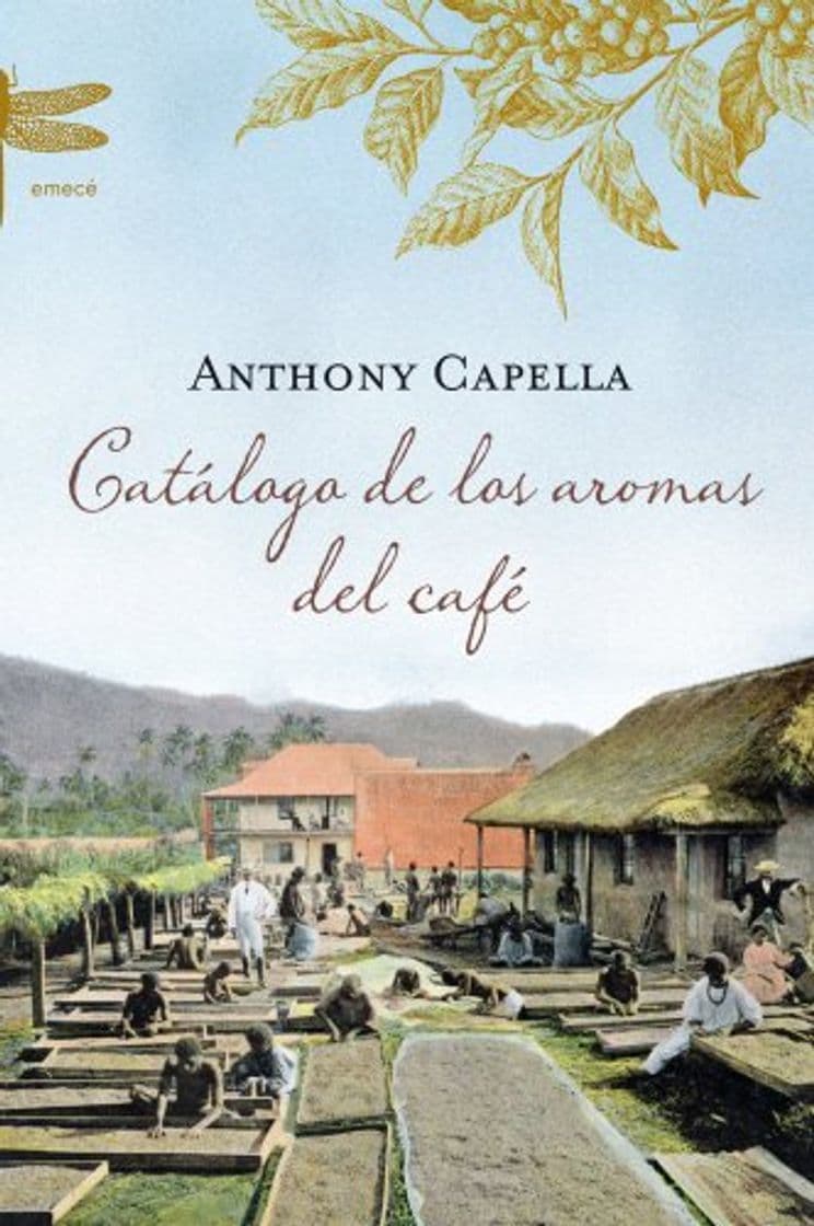 Libro Catálogo de los aromas del café