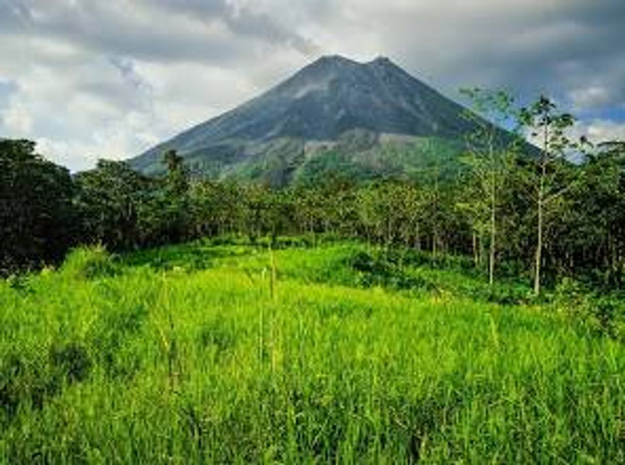 Lugar Parque Nacional Volcán Arenal