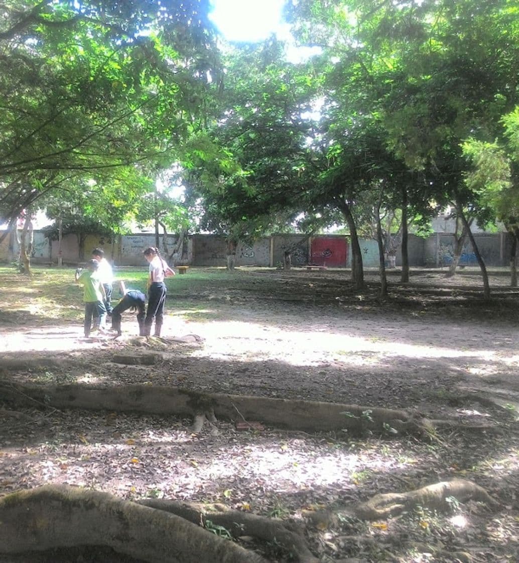 Lugar Campo Escuela Scout Paramacay