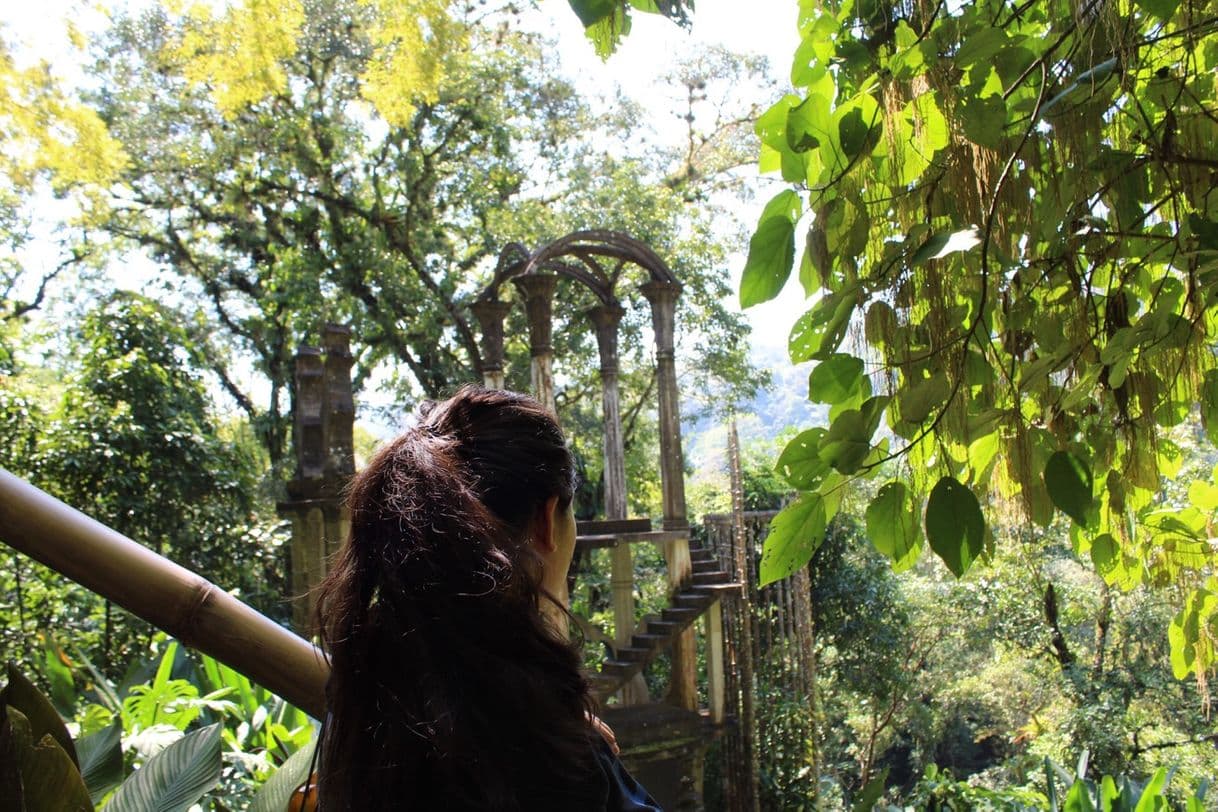 Place Jardín Surrealista "Edward James", Xilitla, S.L.P.