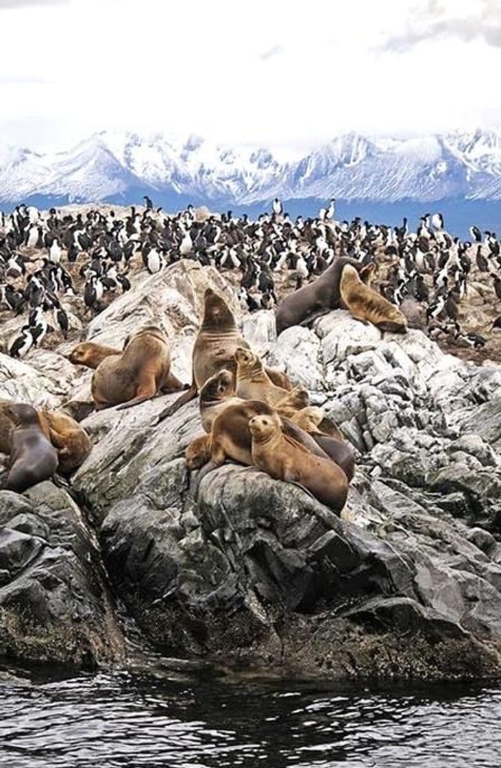 Lugar Patagonia