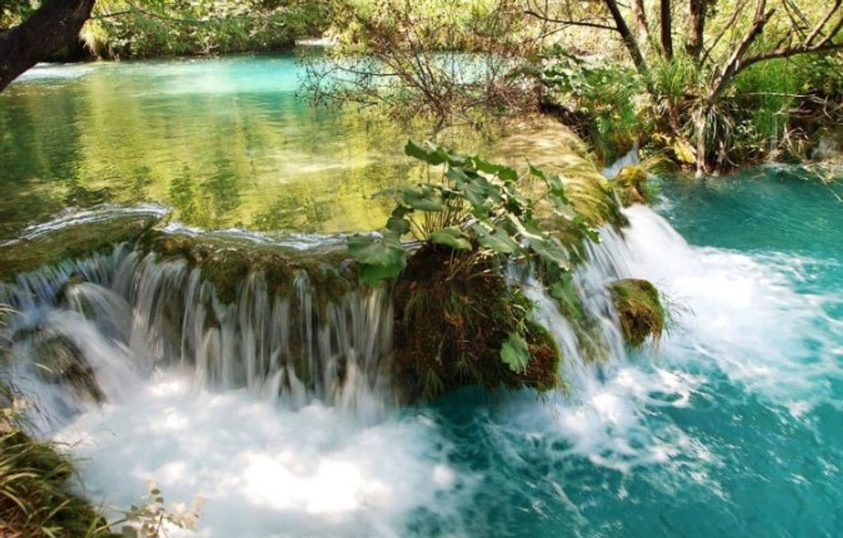 Place Parque Nacional de los Lagos de Plitvice