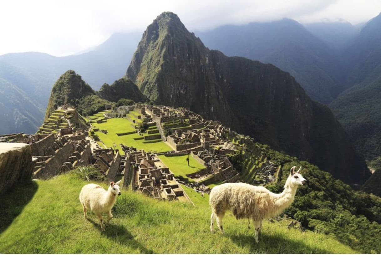 Place Machu Picchu