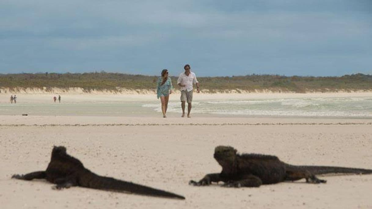 Lugar Galapagos Beach at Tortuga Bay