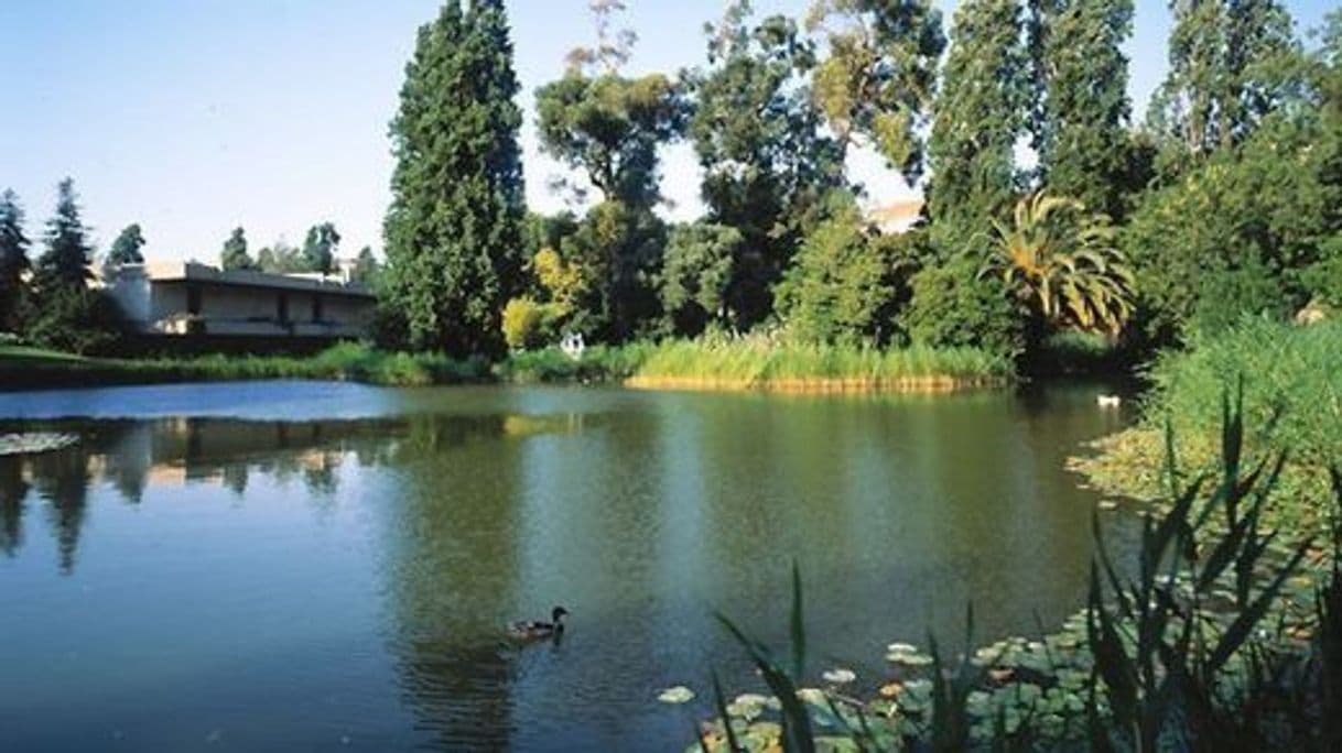 Place Parque Gulbenkian