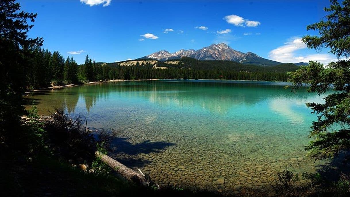 Lugar Parque Nacional Jasper