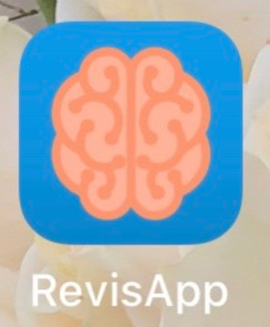 App REVISAPP