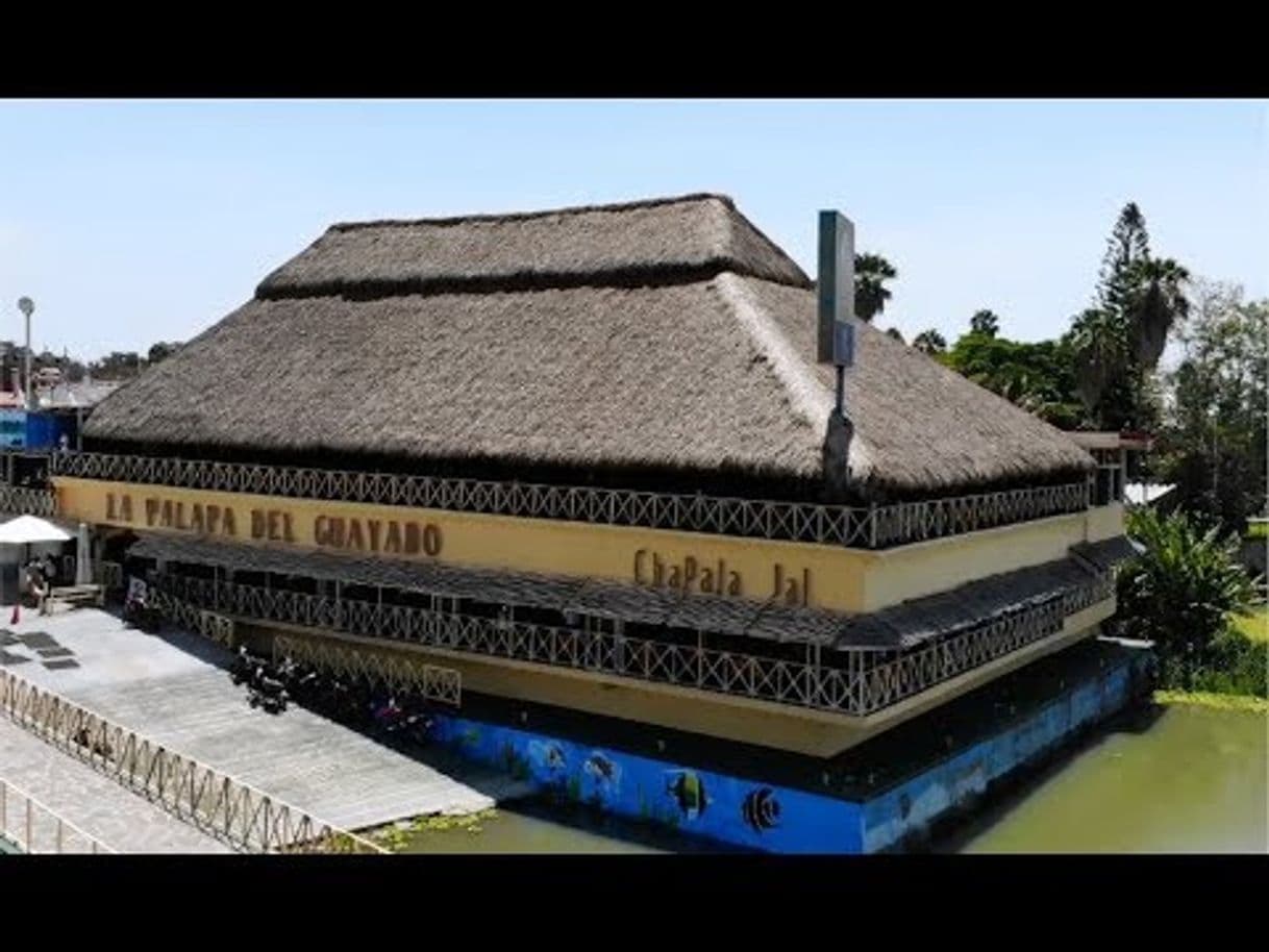 Restaurants Restaurante "La palapa del guayabo" 