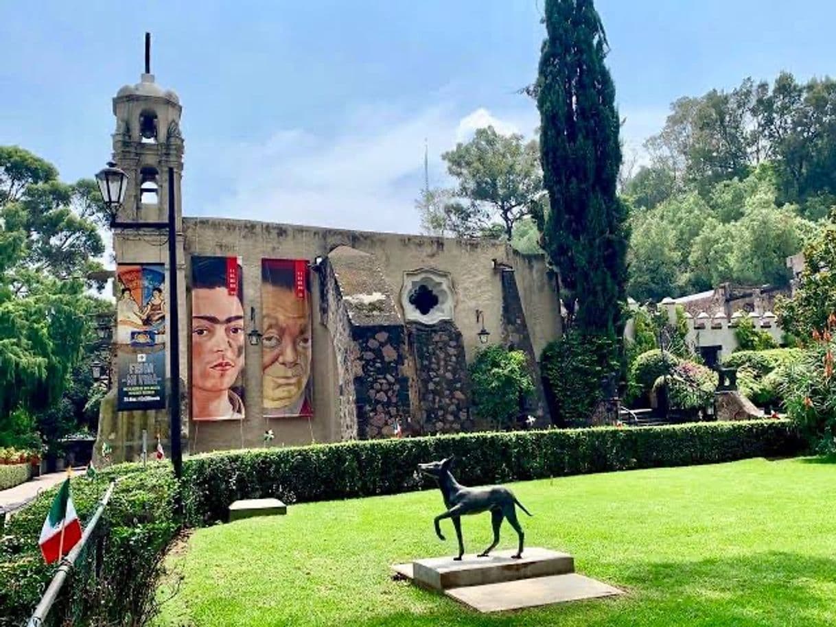 Lugar Museo Dolores Olmedo