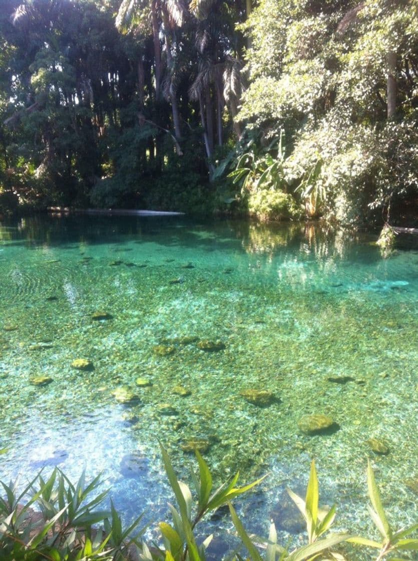 Lugar Las Estacas Parque Natural