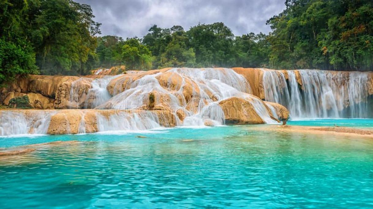 Place Cascadas de Agua Azul