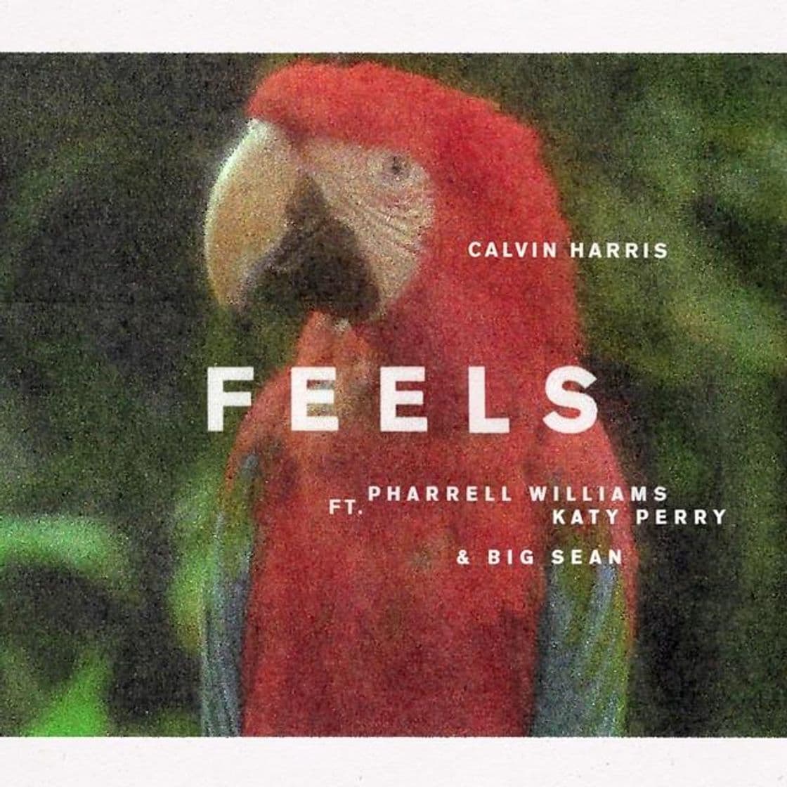 Canción Feels (feat. Pharrell Williams, Katy Perry & Big Sean)